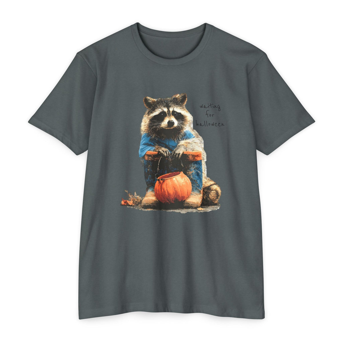 Raccoon with Pumpkin T-Shirt — "Waiting for Halloween" Cute Autumn Tee