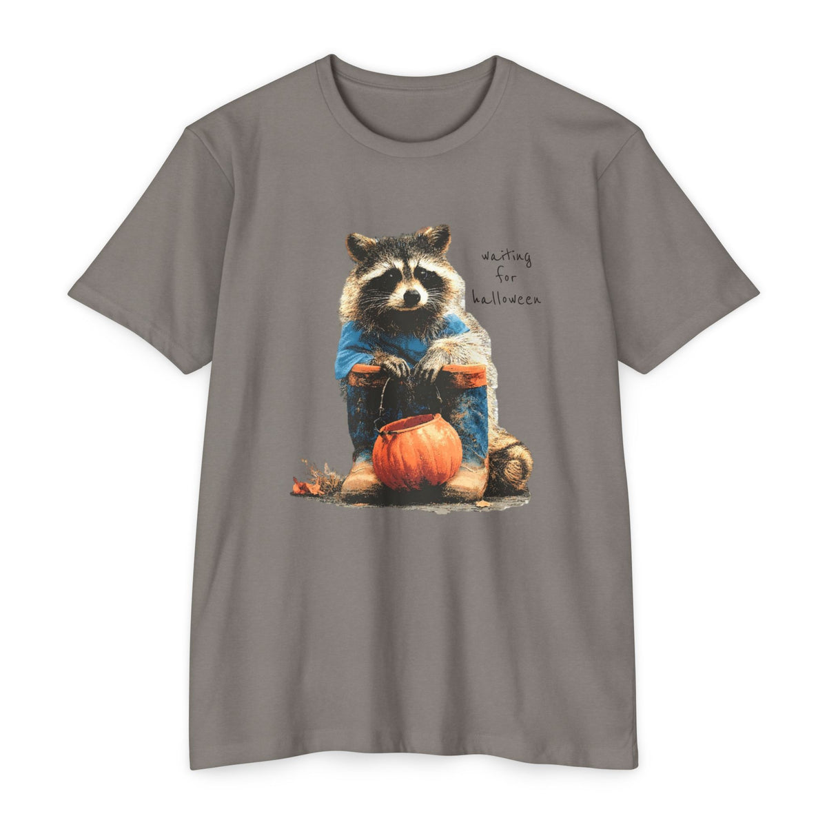 Raccoon with Pumpkin T-Shirt — "Waiting for Halloween" Cute Autumn Tee